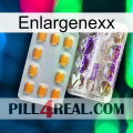 Enlargenexx new12